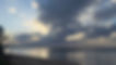 IMG_1275.JPEG