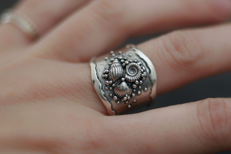 Thumbnail: Ammonite and Shell Ring