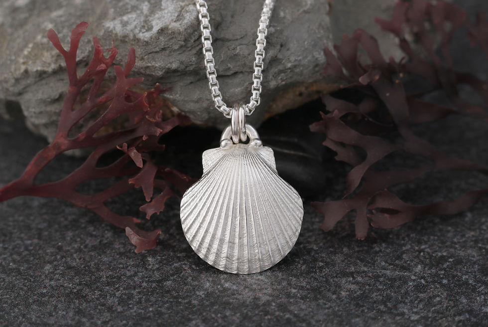 Thumbnail: Scallop Shell Necklace