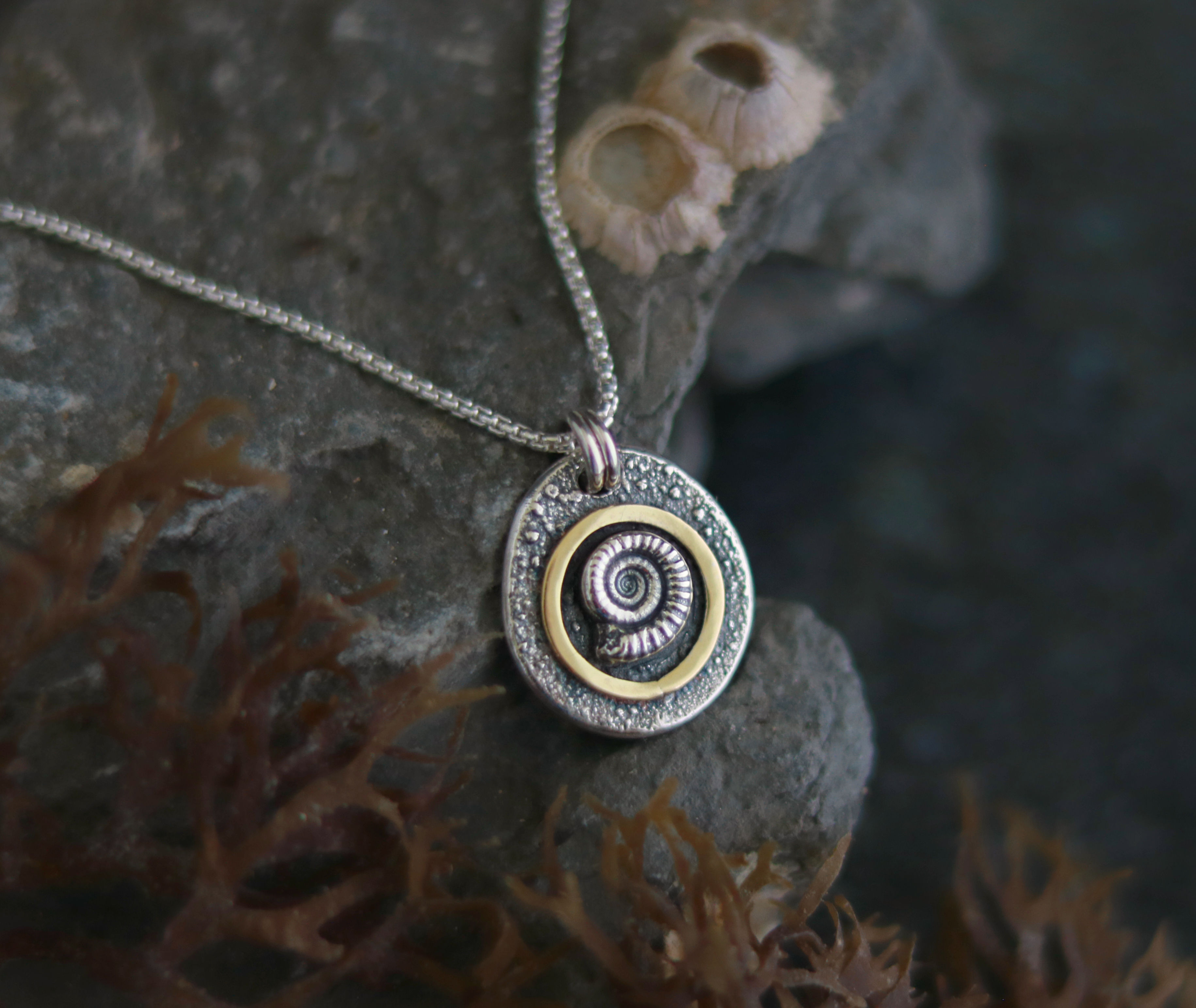 Ammonite Pebble with 18ct Gold Necklace