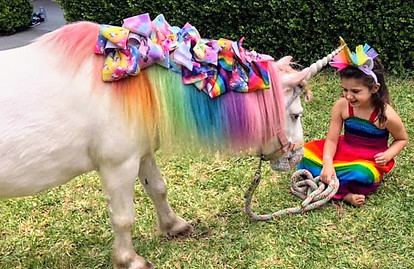 Unicorn 7.jpeg