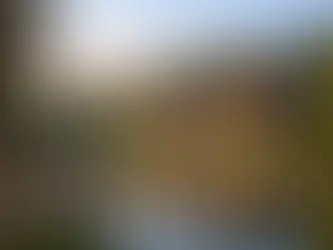 Naturhotel Harz Waldblick - ruhig übernachten