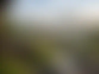 Ruhige Unterkunft im Harz richtig finden