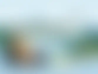 Hotel im Nationalpark Harz richtig wählen
