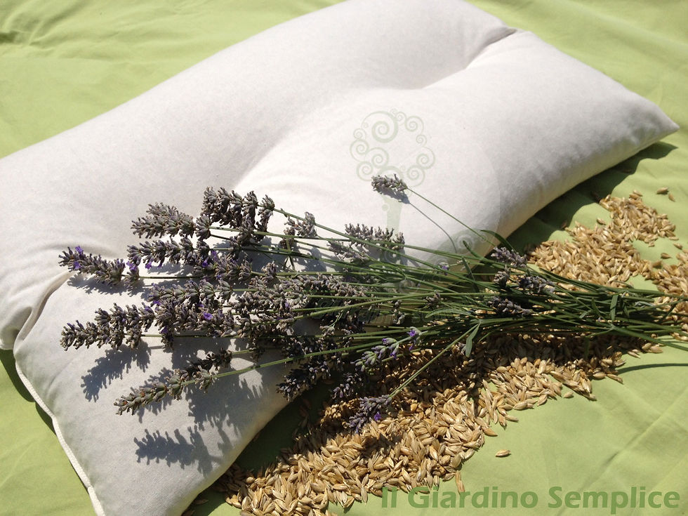 anatomico70-lavanda2.jpg