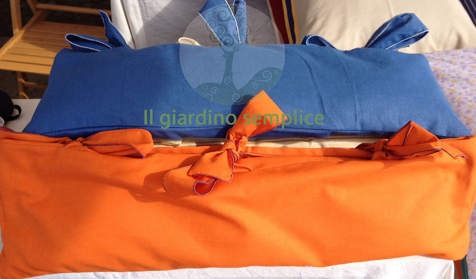 fascia lombare.jpg