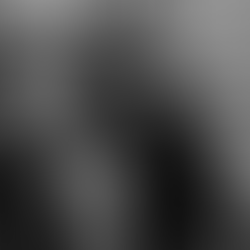 A FAREWELL TO GREG TATE