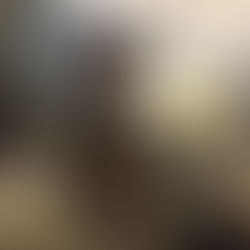 A HISTORICAL LOOK AT THE AFRICAN DIASPORA THROUGH THE EYES OF ITS VISUAL ARTISTS