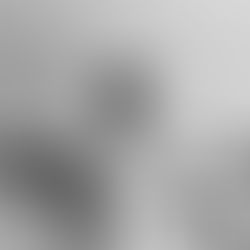 LISTENING TO OUR ANCESTORS