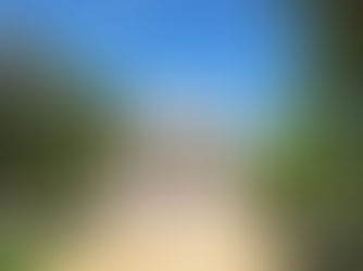 ERIC MOTLEY APPOINTED TO DEPUTY DIRECTOR ROLE WITH NATIONAL GALLERY OF ART