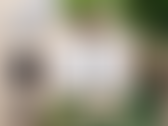 Maximizing Mental Health and Wellness Strategies