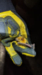 PXL_20240202_234018693