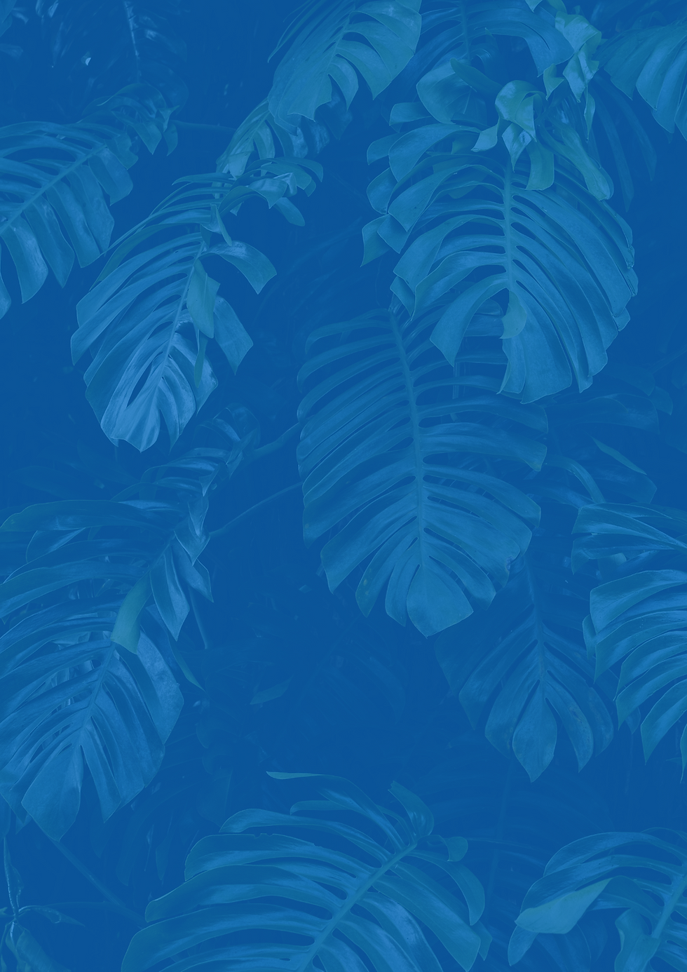 Untitled design (7).png