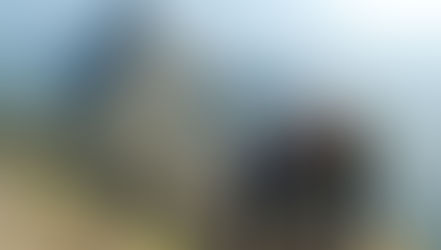 Peru reabre fronteiras para brasileiros vacinados ou com PCR negativo