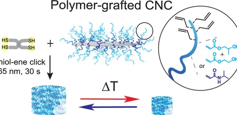 INTEGRATE researchers co-author new ACS Biomacromolecules article on thermoresponsive cellulose-based gels