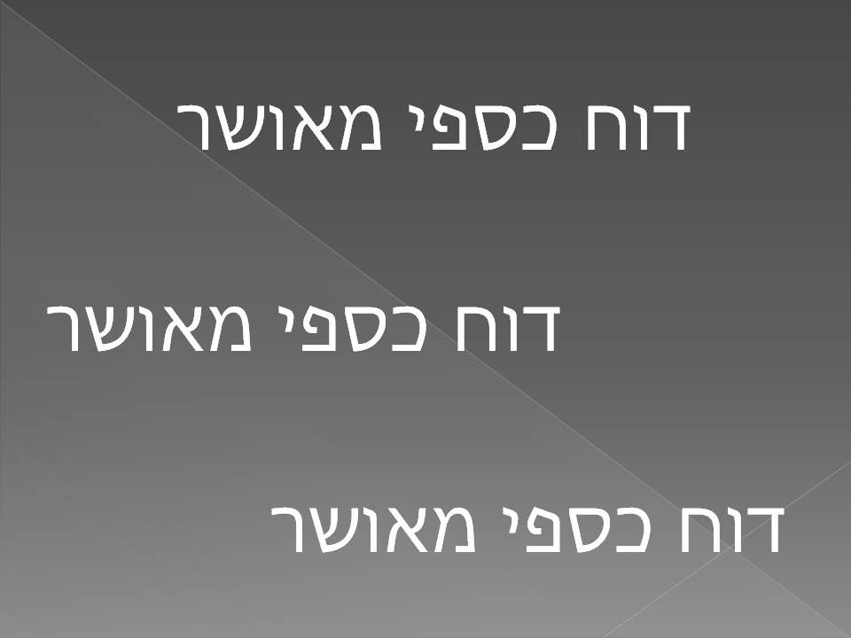דוח כספי מבוקר