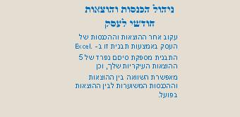 ניהול+הכנסות+והוצאות+חודשי+לעסק.gif