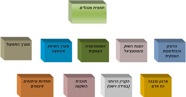 כיד להנגיש תוכנית עסקית לפי פרקים