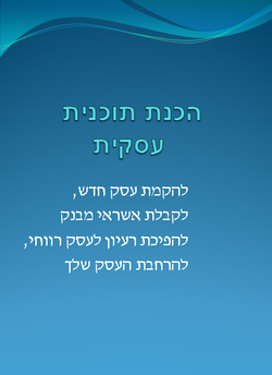 הכנת תוכנית עסקית