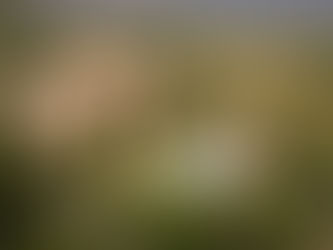 The 5 Best Destination Wedding Venues in Mallorca for an Unforgettable Celebration