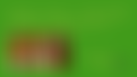 Catch Up: Our Summer Sundays with Colossians