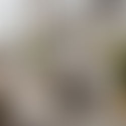 Büroplanung für die Zukunft