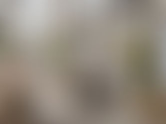 Büroplanung für die Zukunft