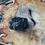 Thumbnail: Black Tourmaline Crystal