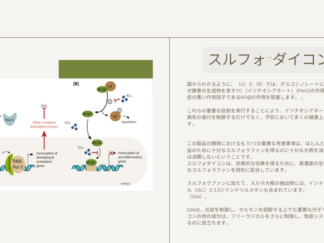 スルフォラファン