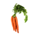 Carrots.png