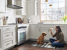 Kitchen Cabinets Image.png