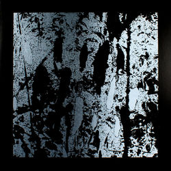 orchid dealer soft reactions in the sun