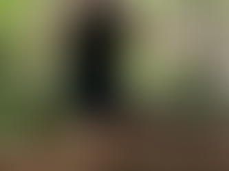 Tim Shieff - "Way of The Rope"