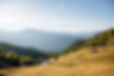 Herbstgold-Retreat_Wiesenhof_Natur.jpg