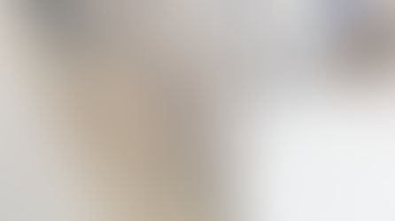 Why Can't I Use Bleach to Kill Mold?