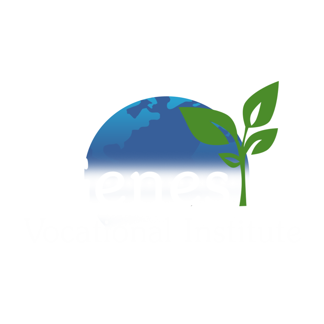 genesis.png