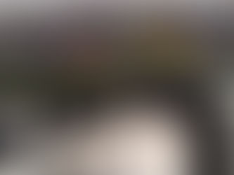 The New Viewer's Guide to the 2022 Daytona 500