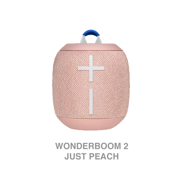 wonderboom connection