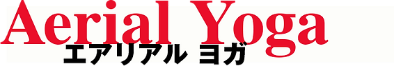 aerialyogatokyo