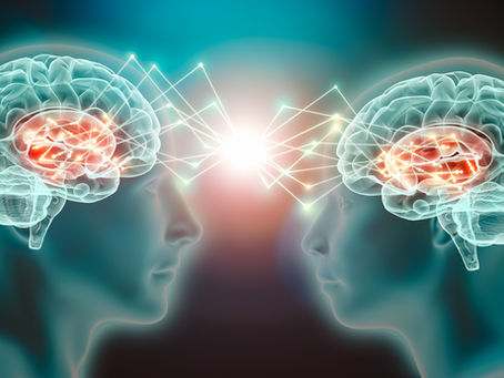 Neuroleadership und Selbstmanagement - Führe Dich selbst, sonst wirst Du geführt!