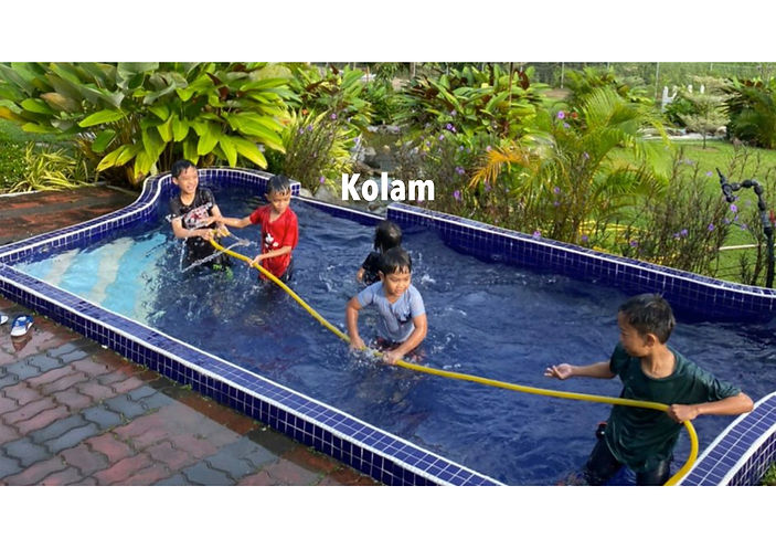 kolam.jpeg