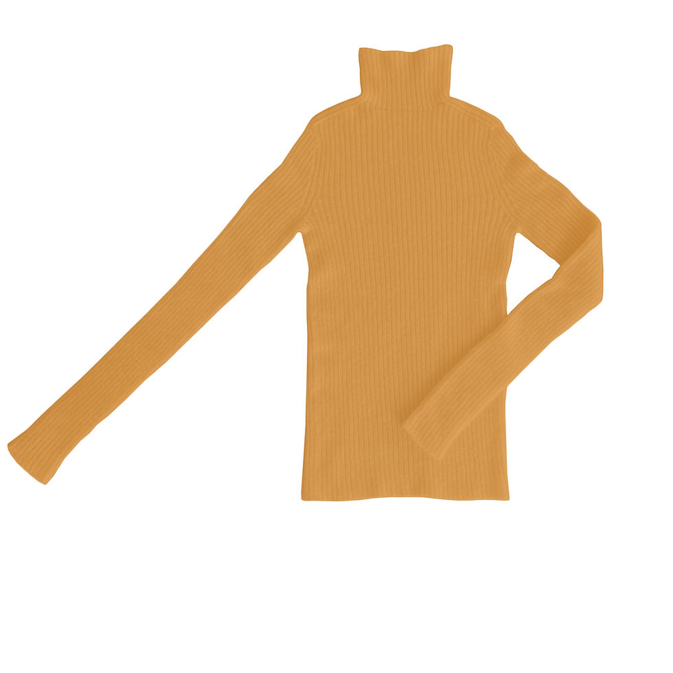 サムネイル： High neck knitwear in mix wool - Bobby