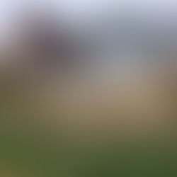 The Top Home Renovation Projects That Add Real Value in Rock Hill, SC (And How to Get Them Done Right)