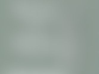 Back to Basics: A Smarter Way to Support Your Lower Back and Core