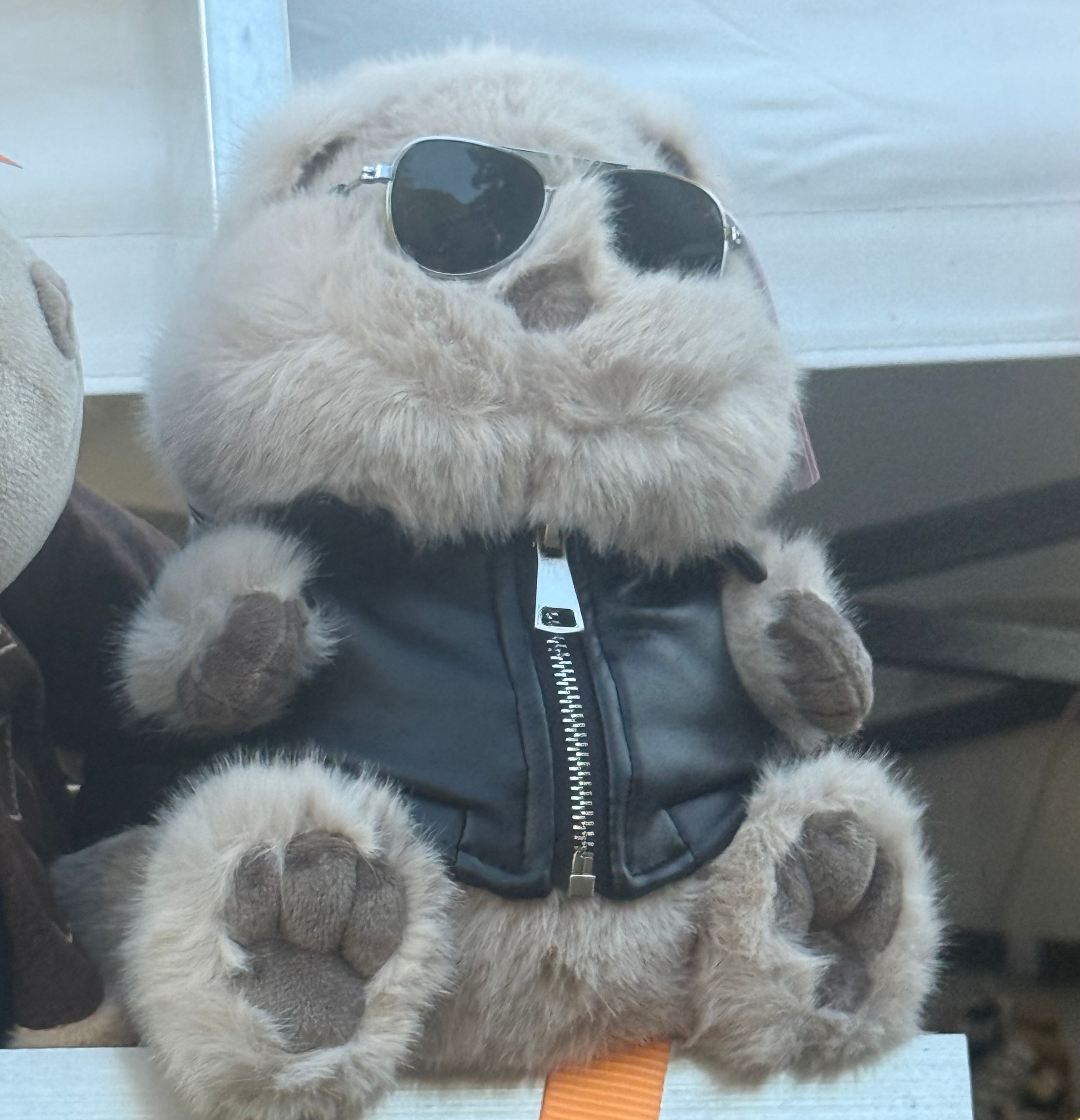 Marmotte Biker