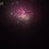 Thumbnail: pink peony firework burst
