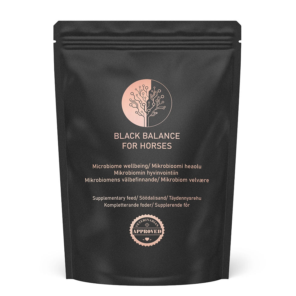 Black Balance for Horses 1 month