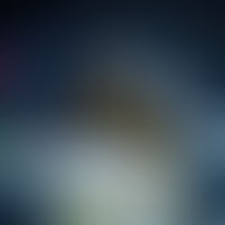 Olympic Showjumper, Kristaps Neretnieks, ''Helps you to recover way faster...''