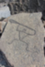 Petroglyphs near Waikoloa