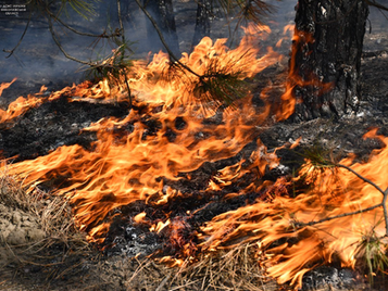 Environment Interrupted